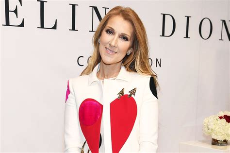 celine dion children's clothes line|Céline Dion has a new gender.